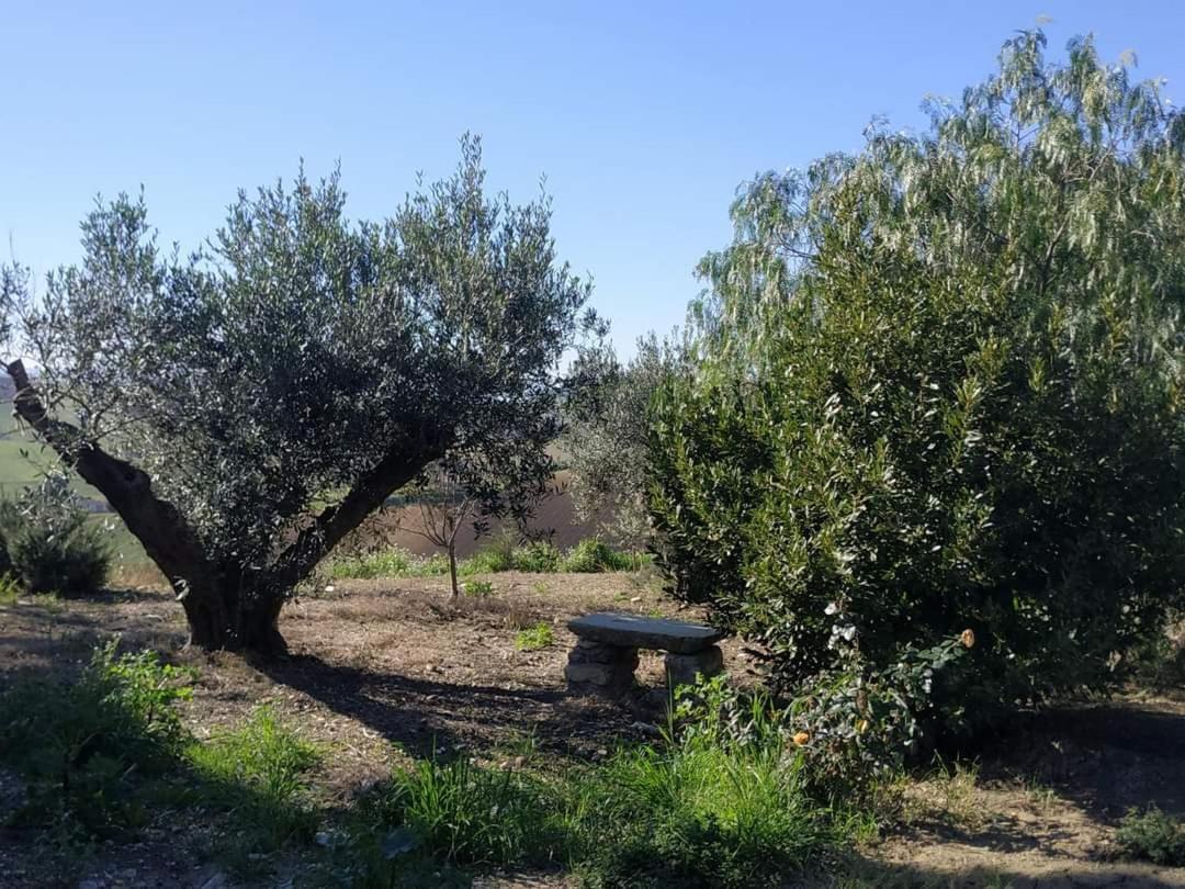 Masseria Baglio Perciata Camporeale Zewnętrze zdjęcie